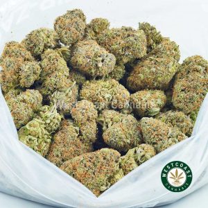 Buy Cannabis Blueberry Mimosa at Wccannabis Online Shop