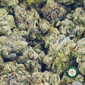 Buy Cannabis Pink Picasso at Wccannabis Online Shop