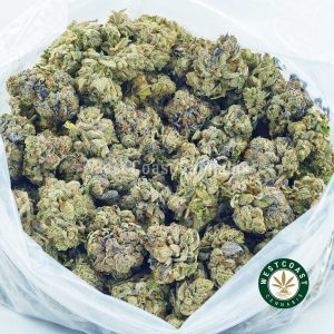Buy Cannabis Pink Picasso at Wccannabis Online Shop