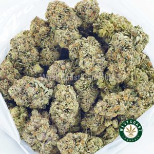 Buy Cannabis Tropicana Cookies at Wccannabis Online Shop