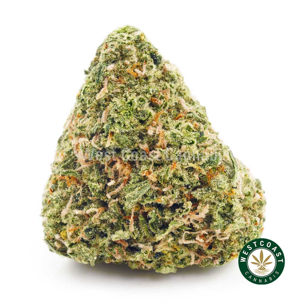 Buy Strawberry and Cream Cookies weed online in Canada.