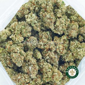 Buy Cannabis Black Cherry at Wccannabis Online Shop