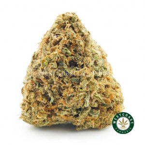 Buy Cannabis Sherbert Outdoor at Wccannabis Online Shop