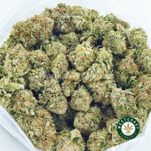 Buy Cannabis 93 Octane at Wccannabis Online Shop