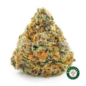 Buy Cannabis Tropicana Punch at Wccannabis Online Shop