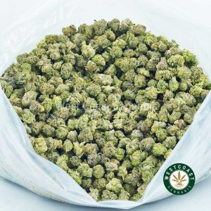 Buy Cannabis White Rhino Popcorn at Wccannabis Online Shop