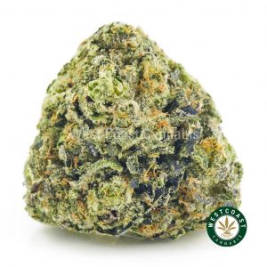 Buy Cannabis El Padrino at Wccannabis Online Shop