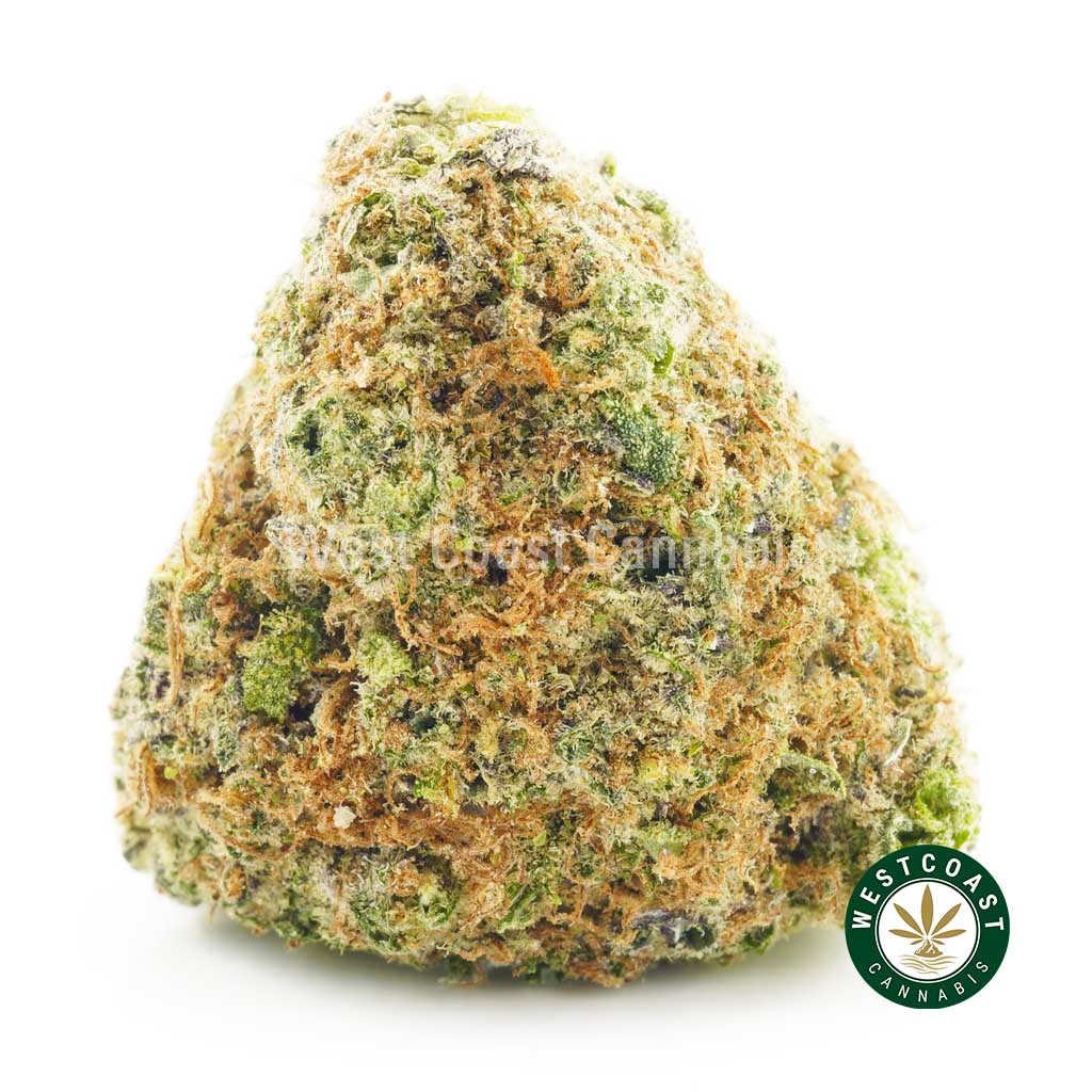 Buy Cannabis Strawberry and Cream at Wccannabis Online Shop