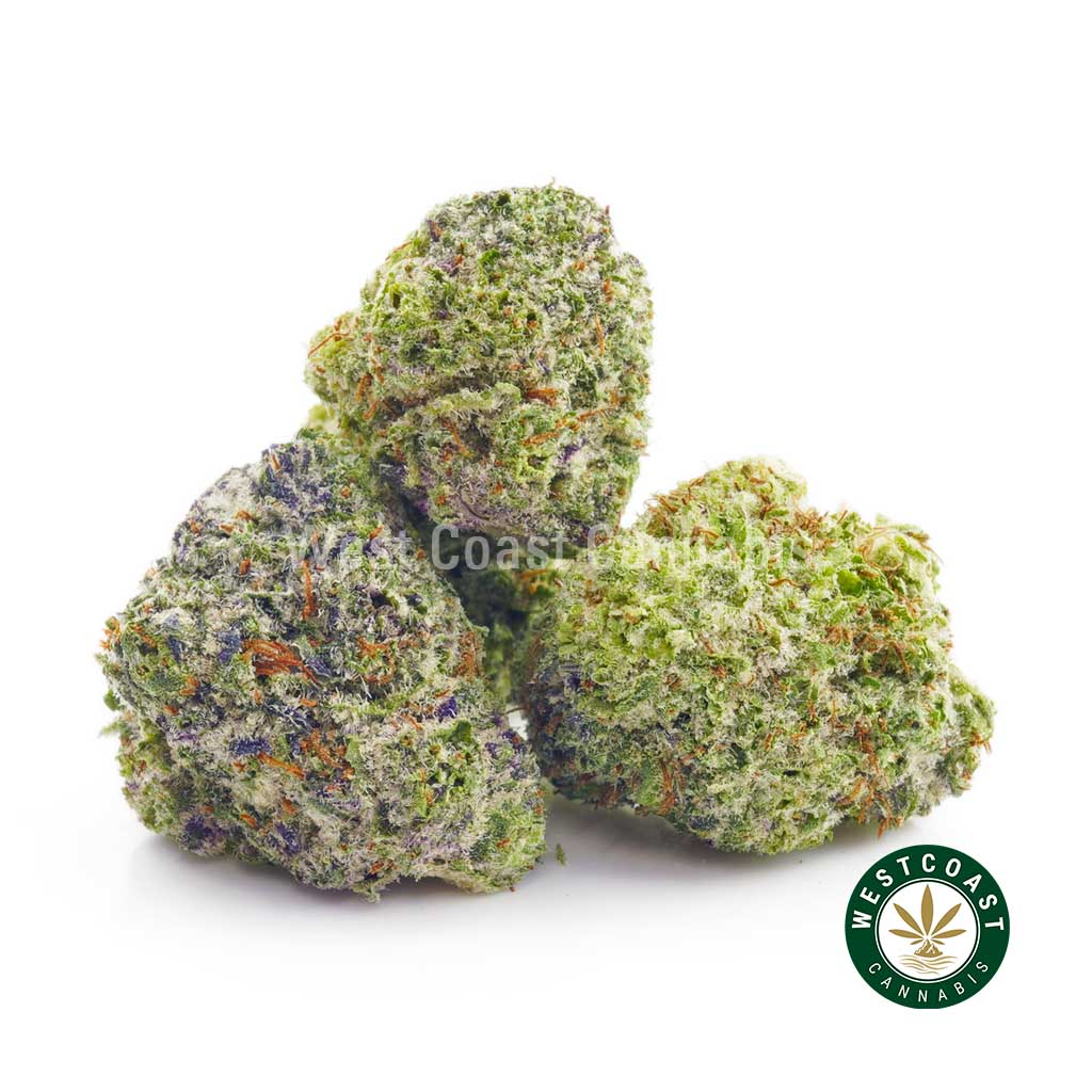 photo of Alaskan Thunder Fuck weed from west coast cannabis BC online dispensary canada to buy weed online. buy online weeds.