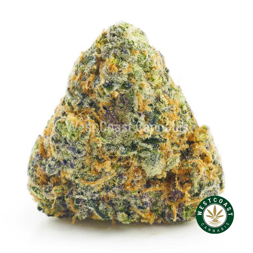 Buy Cannabis Pinkman Goo at Wccannabis Online Shop
