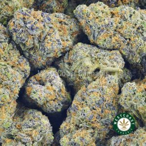Buy Cannabis Pinkman Goo at Wccannabis Online Shop