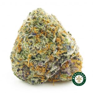 Buy Cannabis Strawberry Zkittles at Wccannabis Online Shop