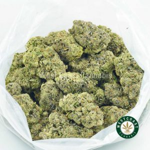 Buy Cannabis Gas Mask at Wccannabis Online Shop