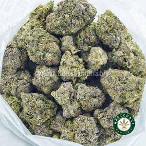 Buy Cannabis Laughing Buddha at Wccannabis Online Shop