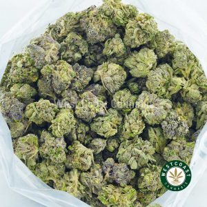 Buy Cannabis 91 Supreme at Wccannabis Online Shop