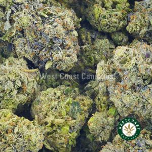 Buy Cannabis Mike Tyson at Wccannabis Online Shop