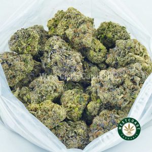 Buy Cannabis Mike Tyson at Wccannabis Online Shop