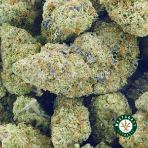 Buy Cannabis Mandarin Sunset at Wccannabis Online Shop
