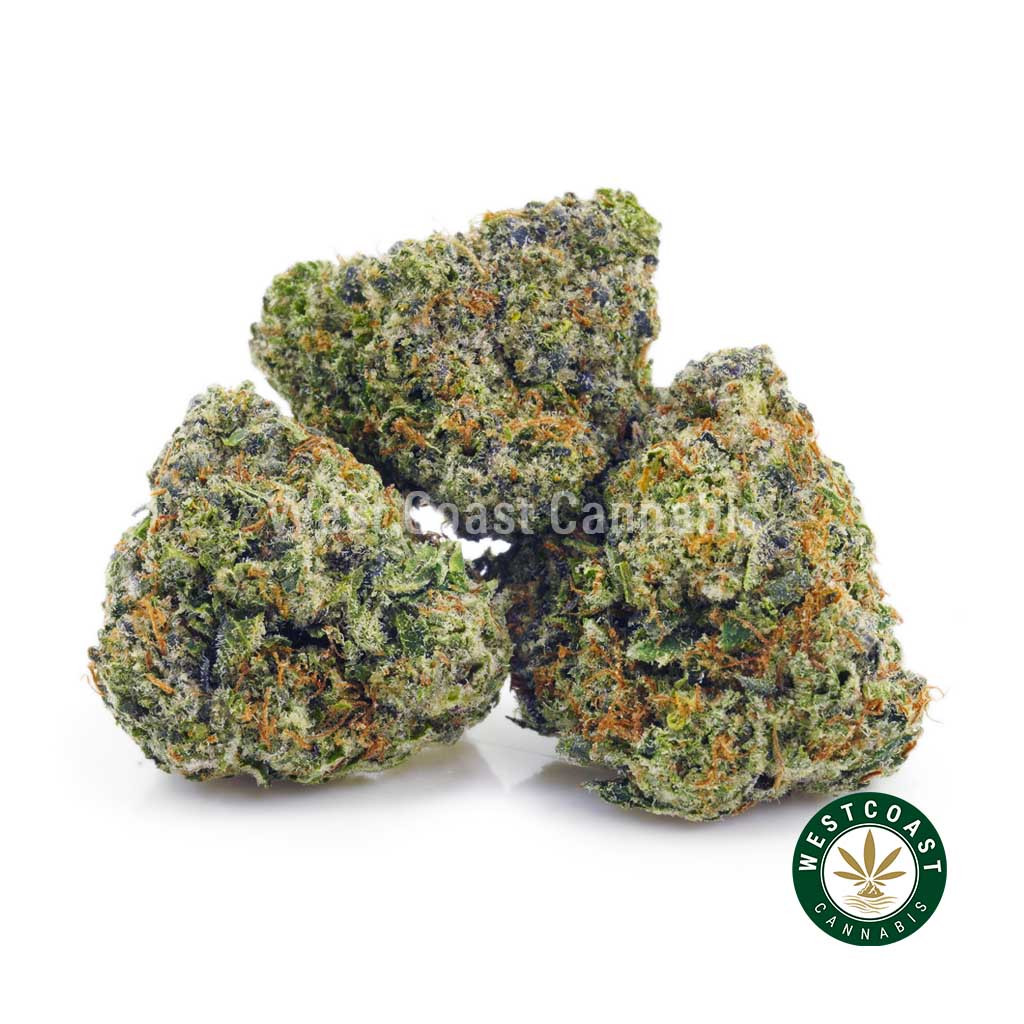 Photo of High Octane strain weed for sale. Buy weed from online dispensary west coast cannabis.