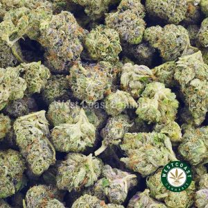 Buy weed. High Octane strain. Cannabis popcorn from online dispensary west coast cannabis.