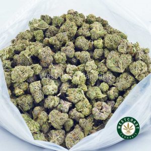 Buy High Octane strain weed online. Mail order marijuana online dispensary BC Canada.