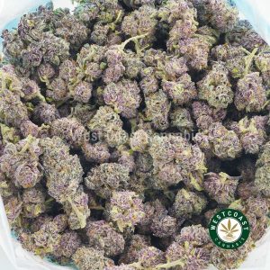photo of Caribbean Creme strain from west coast cannabis BC online dispensary canada to buy weed online. buy online weeds.
