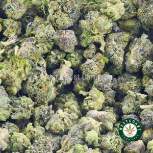 Buy tom ford strain cannabis popcorn from west coast cannabis online dispensary. order weed online.