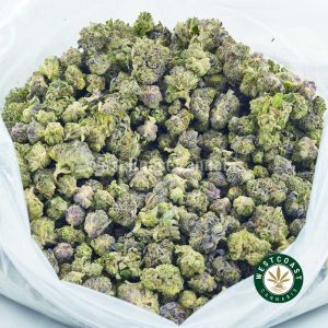 Photo of tom ford strain cannabis popcorn weed for sale. buy weed. Online dispensary west coast cannabis.