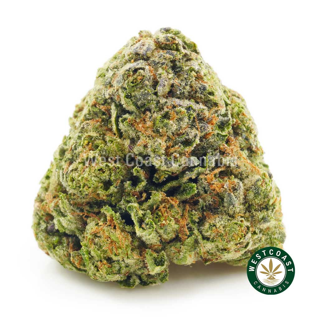 Photo of Island Pink weed nug from west coast cannabis online dispensary. buy weeds online. mail order weed canada. weed online.