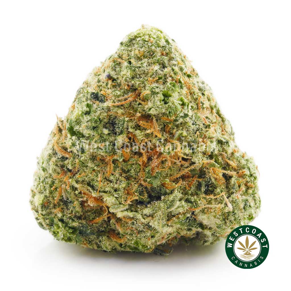 Photo of strawberry cough strain BC bud buy weed online. buy online weeds from BC. Purchase weed online.