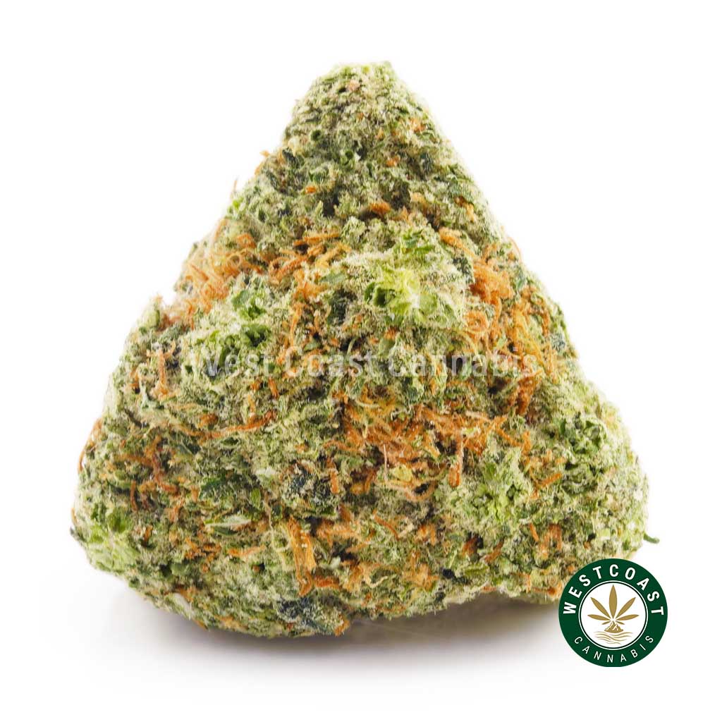 photo of MAUI WOWIE strain from west coast cannabis BC online dispensary canada to buy weed online. buy online weeds.