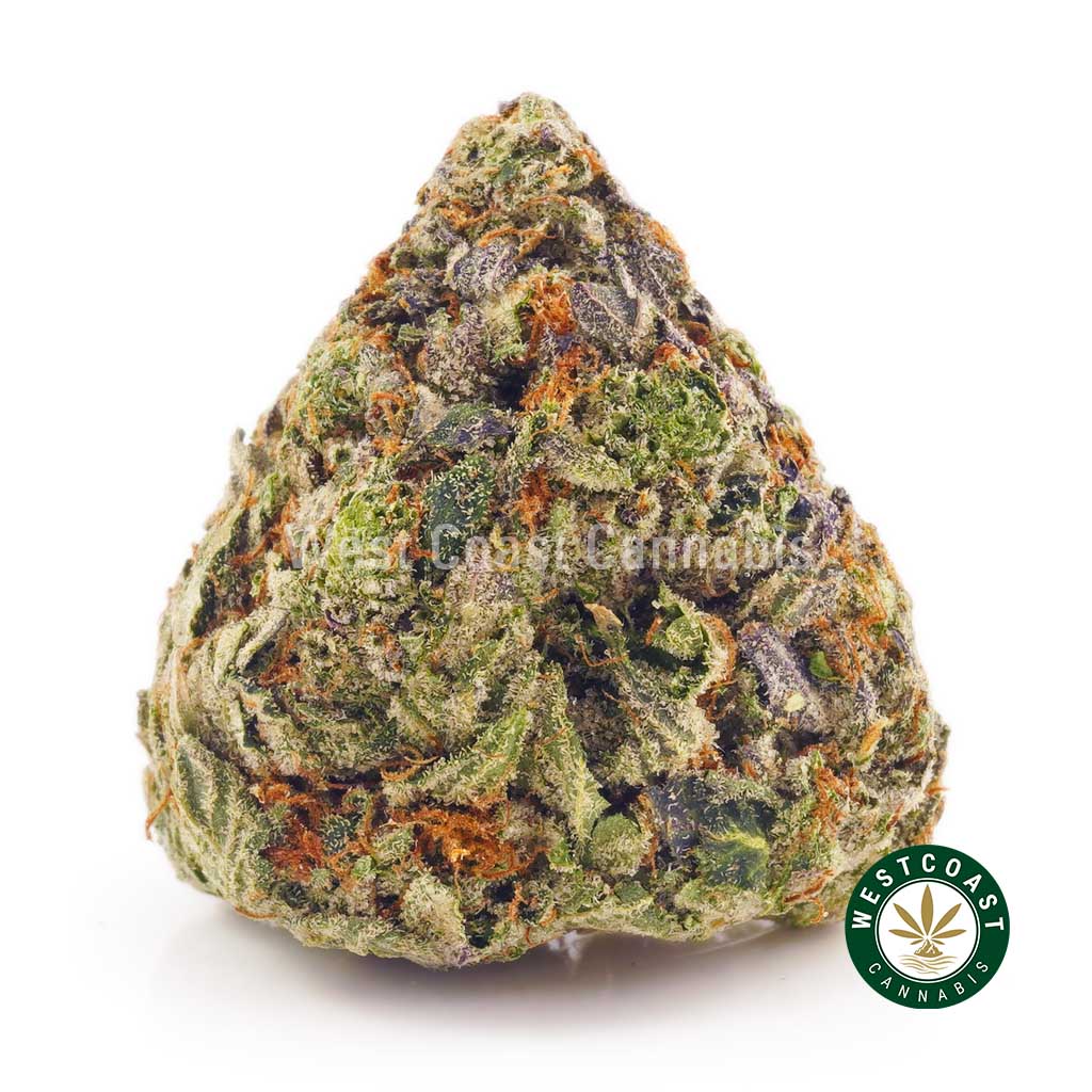 Buy weed Rose Gold Pink from West Coast Cannabis AAAA weed online. buy online weeds. mail order weed.
