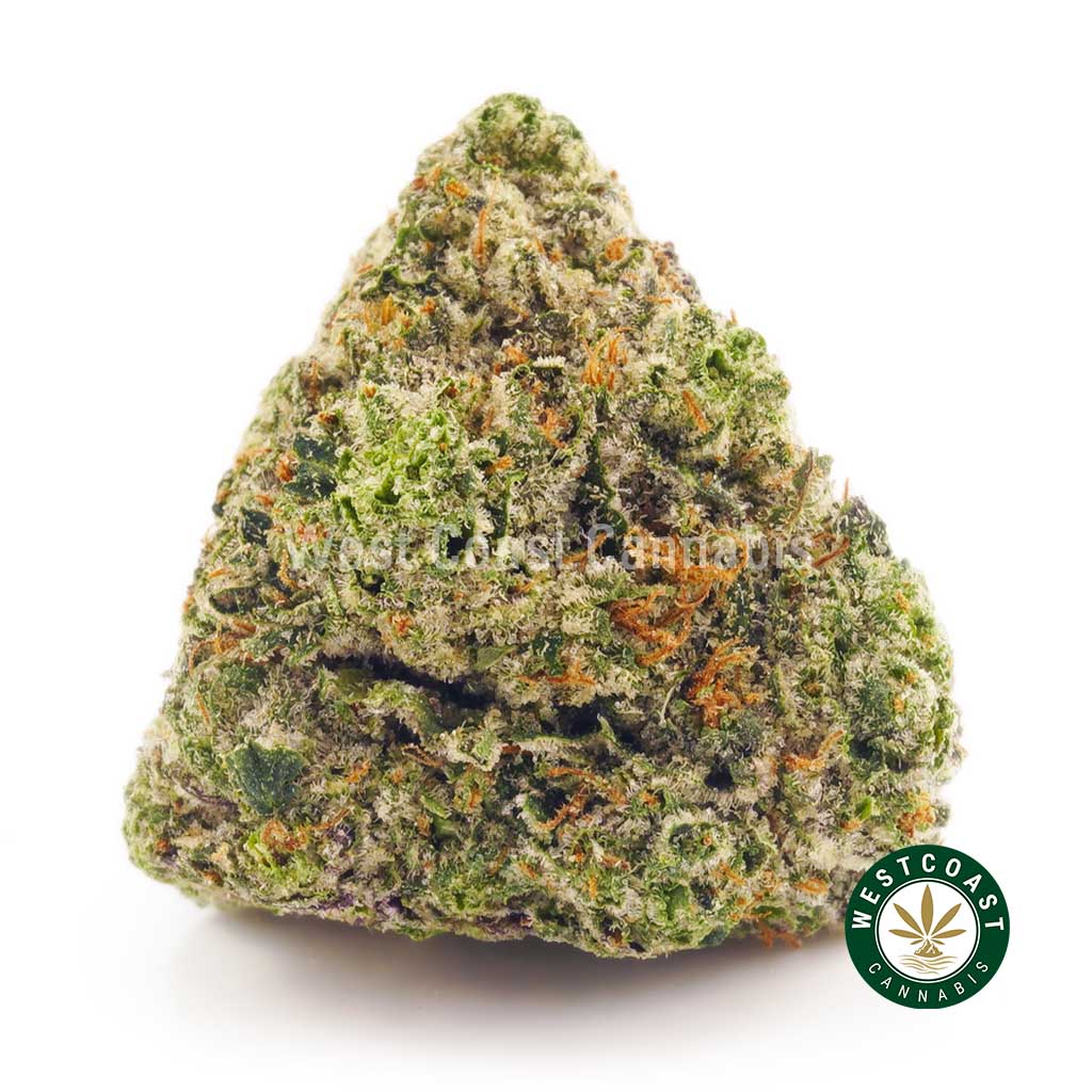 photo of Rockstar Kush from west coast cannabis BC online dispensary canada to buy weed online. buy online weeds.