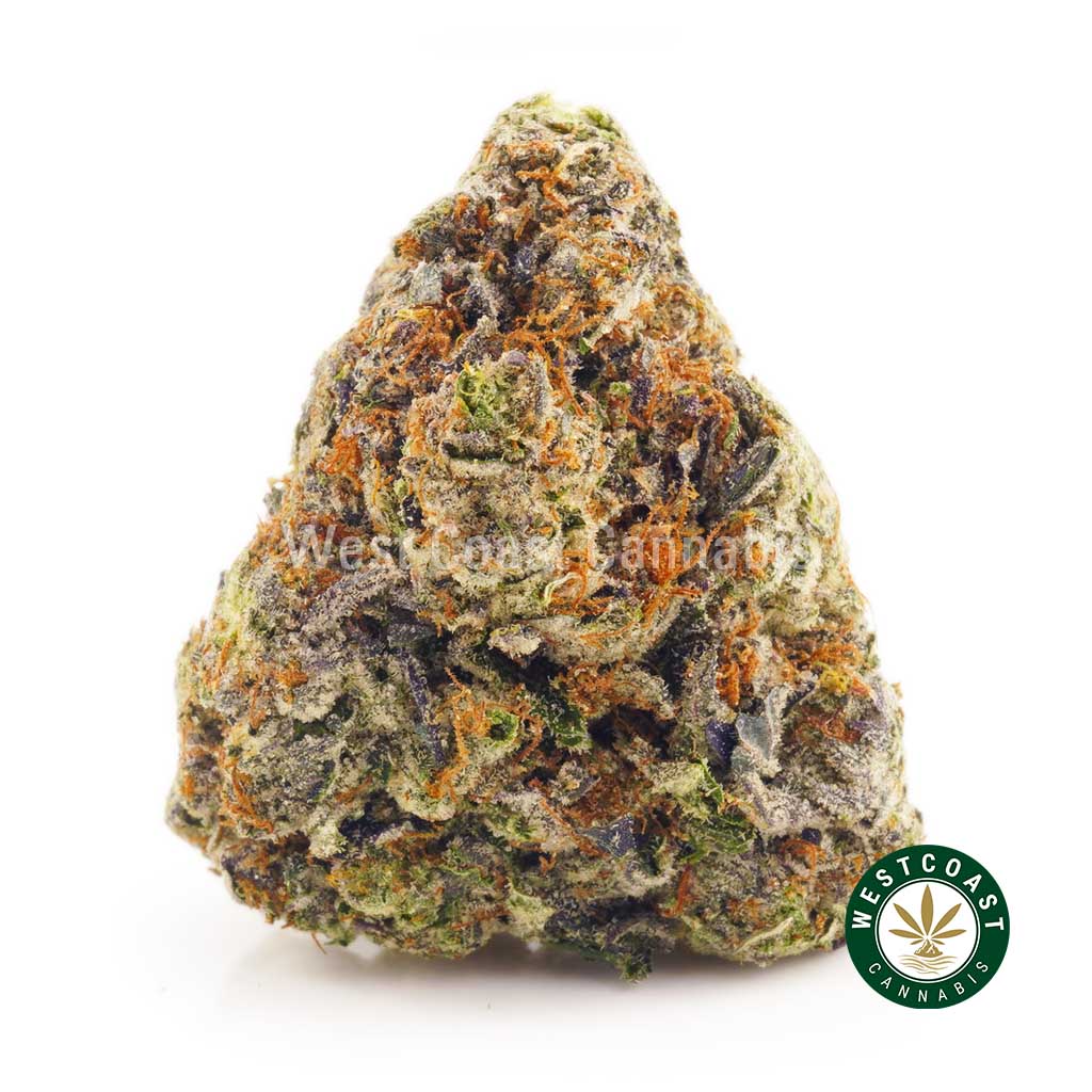 photo of Pink Haze strain from west coast cannabis BC online dispensary canada to buy weed online. buy online weeds.