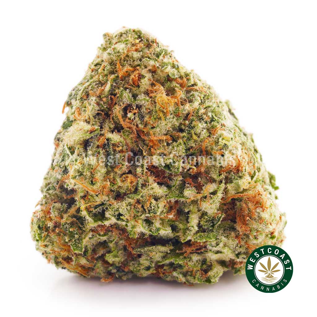 Image of Mandarin Sunset bud from west coast cannabis online dispensary canada. buying weed online. order weed canada. weed shop online.