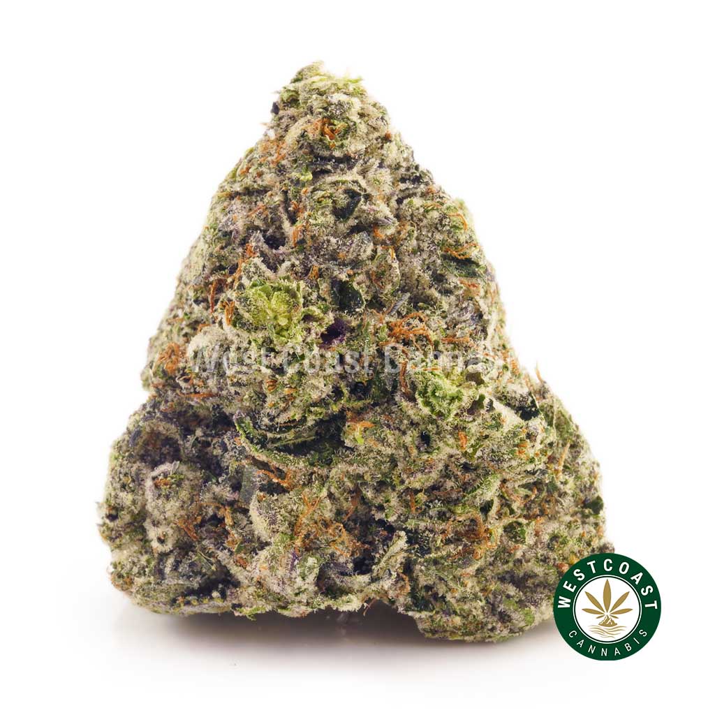 Buy couch lock weed strain from wccannabis online dispensary for mail order weed canada. online dispensary ontario. buy cannabis edibles online. triple a weed.