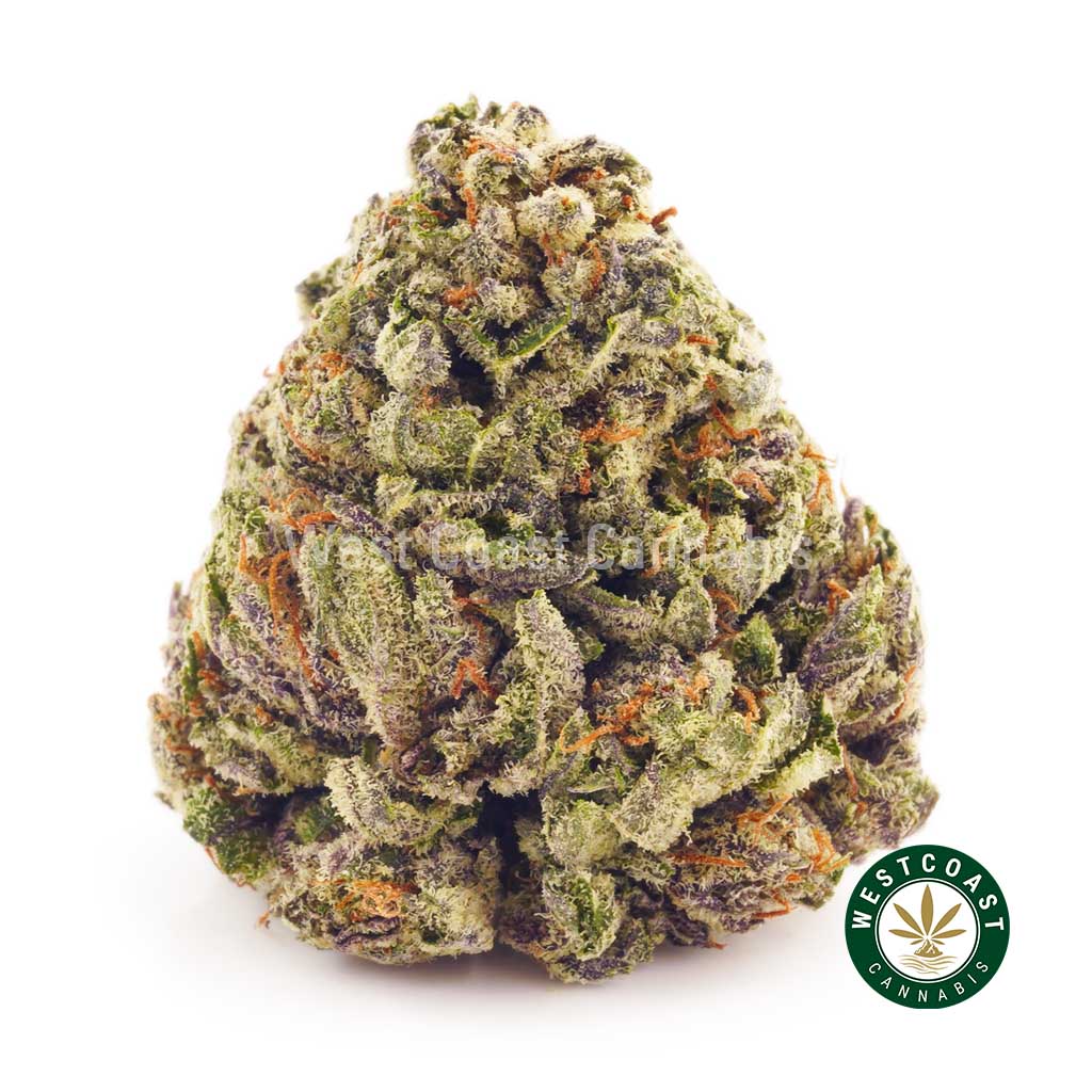Buy weed Black Cherry OG at wccannabis weed dispensary & online pot shop