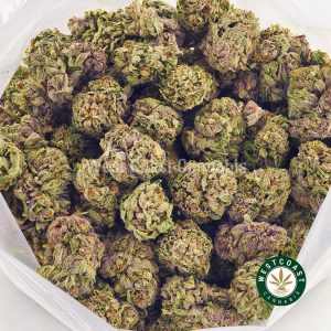 Buy weed Black Cherry OG at wccannabis weed dispensary & online pot shop
