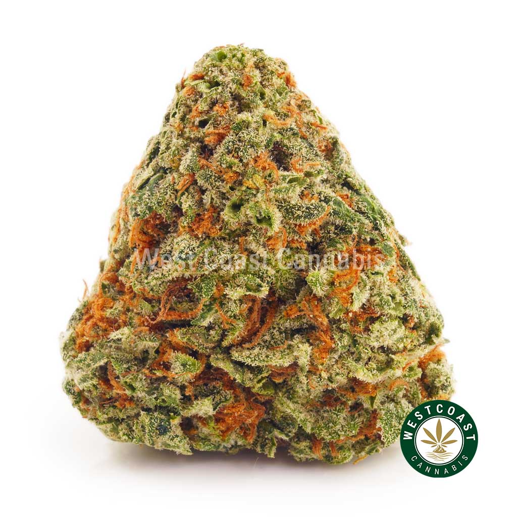 Photo of Orange Crush strain BC bud buy weed online. buy online weeds from BC. Purchase weed online.
