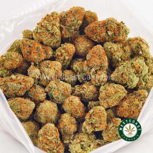 Photo of Orange Crush strain BC bud buy weed online. buy online weeds from BC. Purchase weed online.