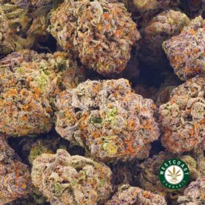 Buy weed Astroboy at wccannabis weed dispensary & online pot shop