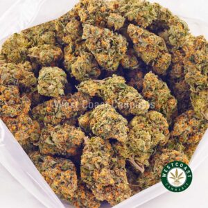 Buy weed King Kong AA at wccannabis weed dispensary & online pot shop