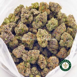 Buy weed High Octane AAAA (Popcorn Nugs) at wccannabis weed dispensary & online pot shop