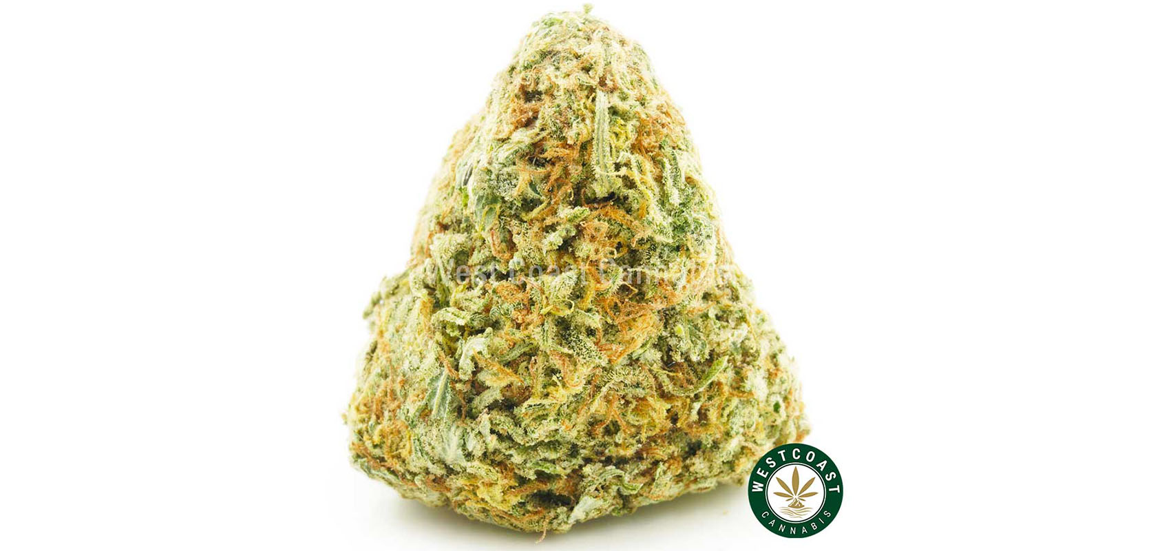 photo of gelato weed strain to buy weed online in canada west coast cannabis online dispensary