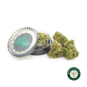 Buy Gas Leak Couch Lock at Wccannabis Online Shop