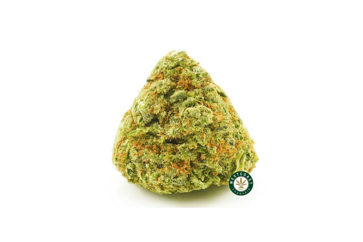 Image of GSC weed popcorn cannabis for sale from online dispensary west coast cannabis. Girl Scout Cookies Weed Strain.