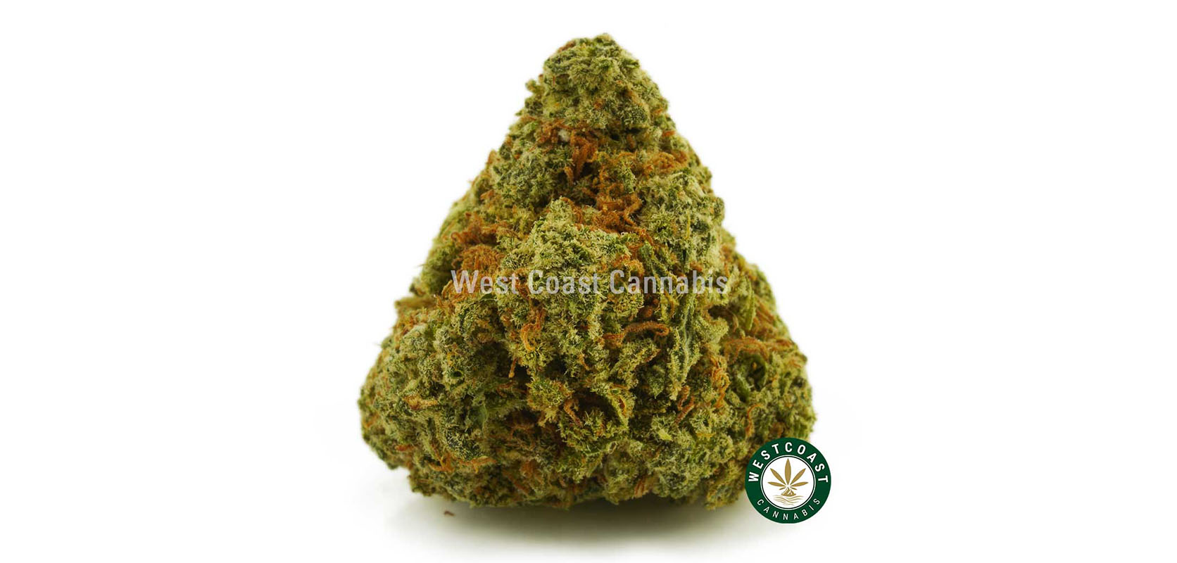 image of Lemon Kush Strain weed for sale from low price bud. Online dispensary for mail order marijuana in Canada. Buy weed online.