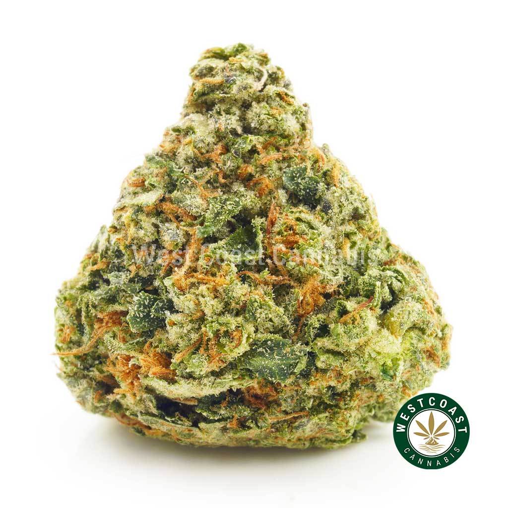 Order weed online Banana Kush from west coast cannabis. buy weed. weed online. buy edibles canada. order weed online canada.