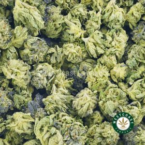 OG kush cannabis popcorn for sale. Order weed online from the top weed site in cannabis canada.