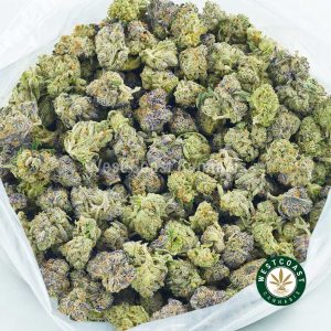 Buy Cannabis Super Sour Diesel at Wccannabis Online Shop